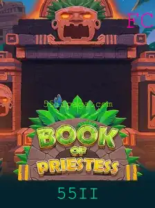 Explorando o Mundo Fascinante de BookOfPriestess: Um Guia Completo